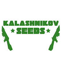 Kalashnikov Seeds - Cannabis Seeds Banks